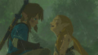 Nintendo Switch Game - The Legend of Zelda: Breath of the Wild Limited Edition Wholesale Supply