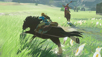 Nintendo Switch Game - The Legend of Zelda: Breath of the Wild Limited Edition Wholesale Supply