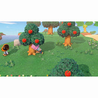 Nintendo Switch Game - Animal Crossing: New Horizons Wholesale Supply